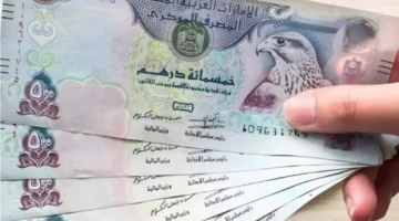 سعر الدرهم الإماراتي في البنوك الأحد 14 ديسمبر 2025 تحديثات السوق المالية وتأثيرها على التحويلات 1
